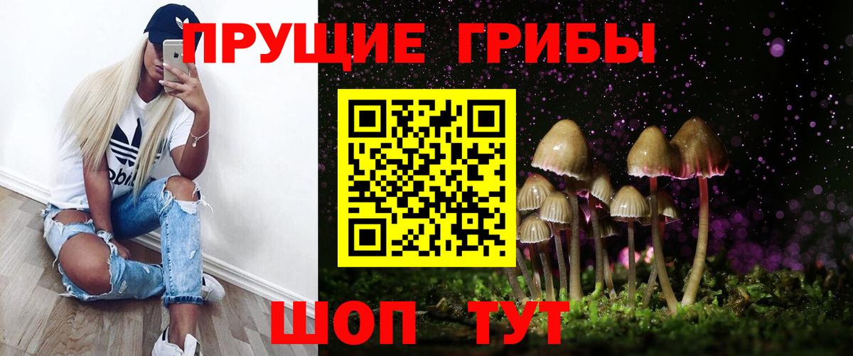 Сочи  Псилоцибиновые грибы Psilocybe  Вход с VPN 
